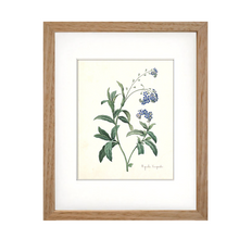 Framed Blue Botanical Prints - 4 Design Options