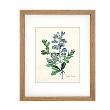 Framed Blue Botanical Prints - 4 Design Options