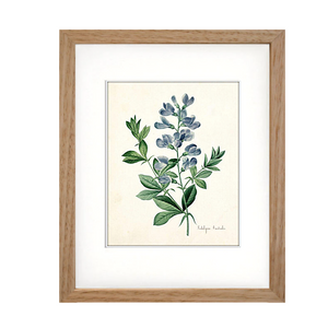 Framed Blue Botanical Prints - 4 Design Options