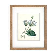 Framed Blue Botanical Prints - 4 Design Options