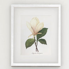 Framed Botanical Prints - 4 Design Options