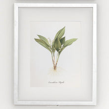 Framed Botanical Prints - 4 Design Options