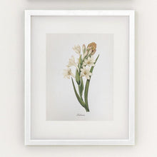 Framed Botanical Prints - 4 Design Options