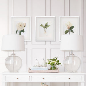 Framed Botanical Prints - 4 Design Options