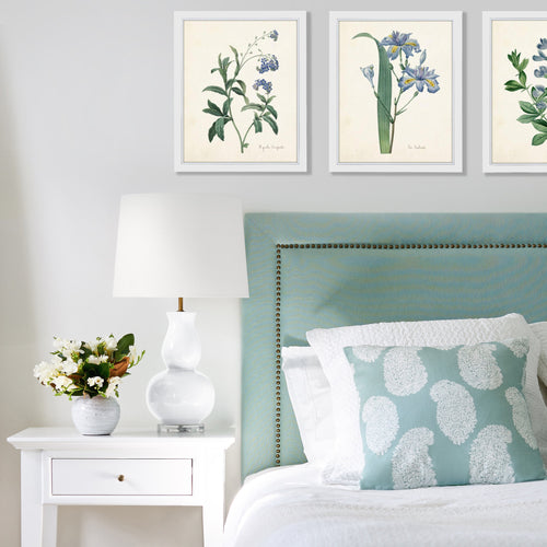 Framed Blue Botanical Prints - 4 Design Options