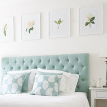 Framed Botanical Prints - 4 Design Options