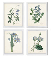 Framed Blue Botanical Prints - 4 Design Options